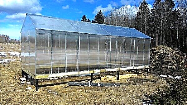 How to choose the best foundation for a polycarbonate greenhouse or do it yourself: types, how to install, photos, video