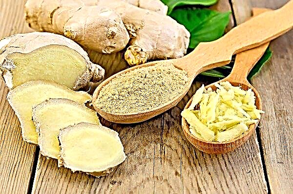 Scientists are puzzled why Ukraine does not cultivate ginger plantations