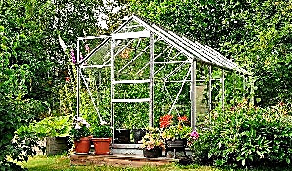 Kasvuhoone aiaga suvilakrundi aiakujunduses: kasvuhoonete fotod ja sordid, paigalduskoha valimine, kuidas selle lähedal asuvat kohta kaunistada