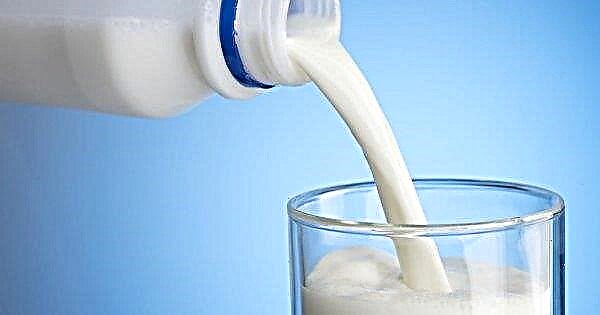 Ukrainian milk marks the world leaders