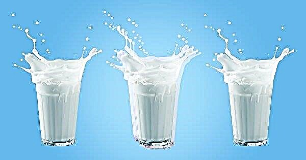 Inwoners van Vinnitsa vragen om de verkoop van melk in plastic flessen te verbieden