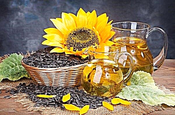 The production of sunflower oil in Ukraine reached a record 3.5 thousand tons