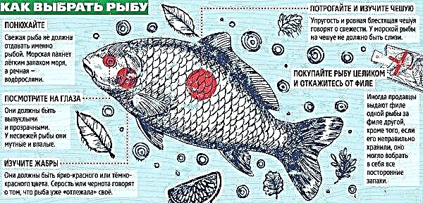 كيف تنظر الديدان إلى الكارب الصليبي: صورة طفيليات في سمكة ، هل من الممكن أكل سمكة بها ، كيف تبدو الديدان