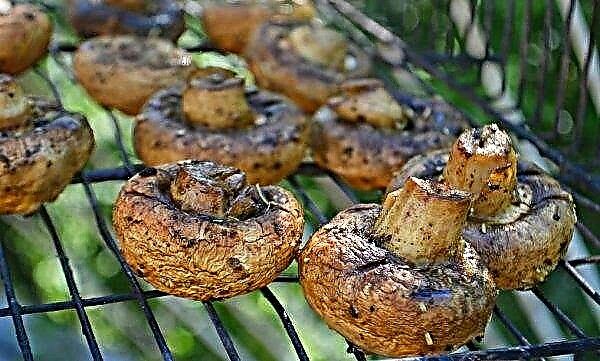 Ciuperci pe grătar: o rețetă simplă pas cu pas pentru a face marinată cu maioneză și usturoi cu o fotografie
