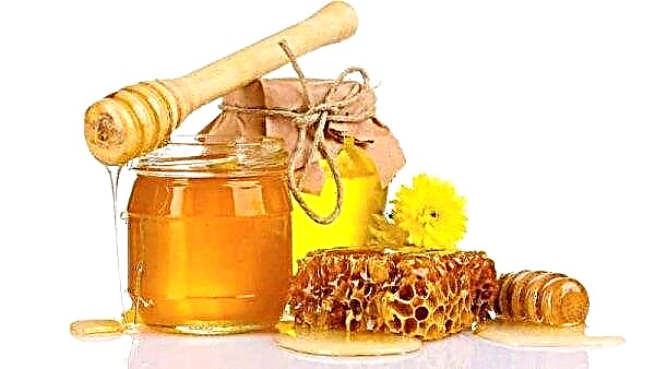 ยูเครนเพิ่มการส่งออกน้ำผึ้งไปยังสหรัฐอเมริกา