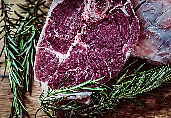 La carne rusa ha sido aprobada por expertos brasileños.