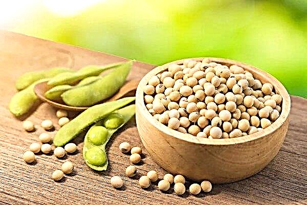 Chinese company will grow soybean in the lands of the Far East