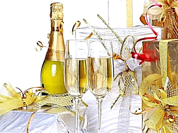 Rus şarap üreticileri tatil masası için şampanya seçmeye yardımcı oluyor
