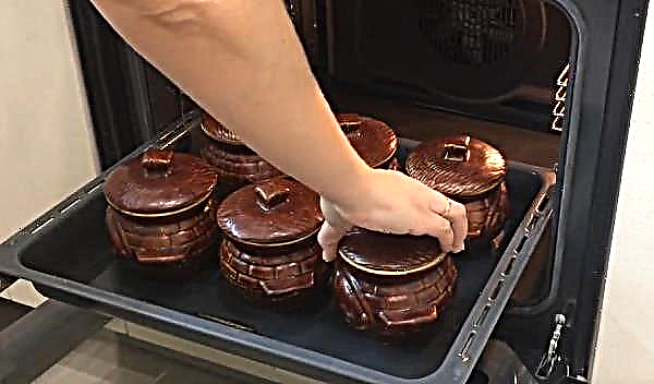 Kartoffeln in Töpfen im Ofen mit Fleisch und Pilzen, Schritt für Schritt Rezept mit Foto