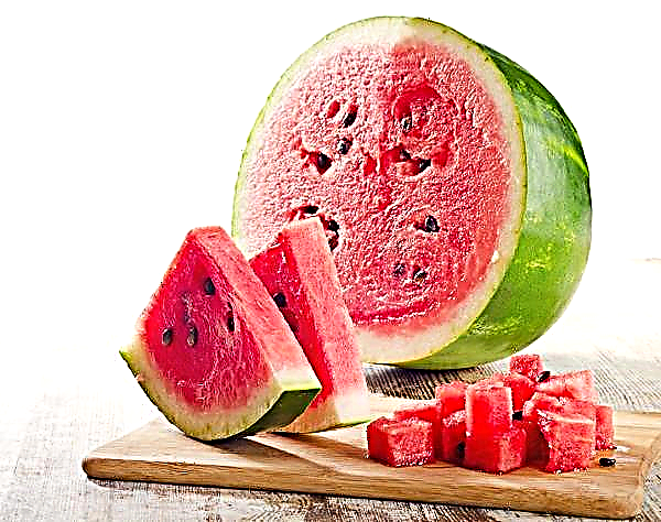 Die Wassermelonensaison in der Ukraine kann in wenigen Wochen enden