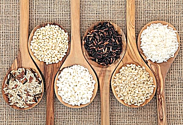 Los productores de arroz Kuban esperan una cosecha generosa