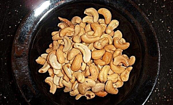 How to fry cashews: in the oven, in a pan, in the microwave, is it possible to fry