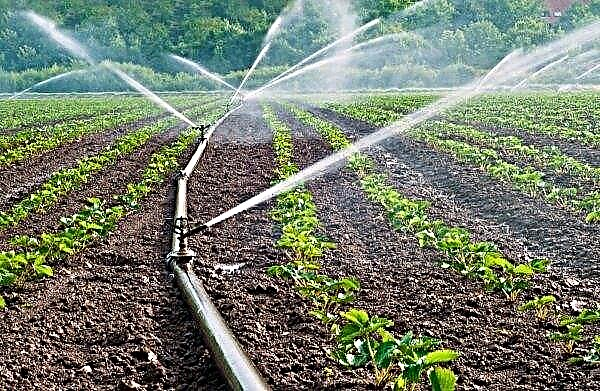 Cherson-Landwirte erweitern das Gebiet des bewässerten Landes