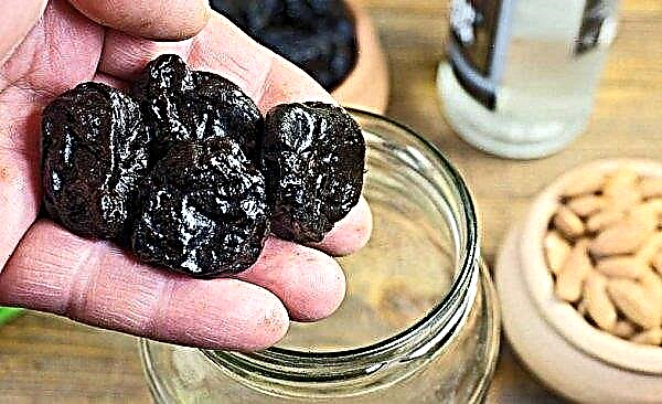 Prunes: benefits and harm to the body, how to store, photo