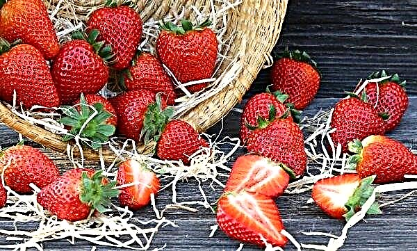 In the diet of Russians - more and more Moldavian berries