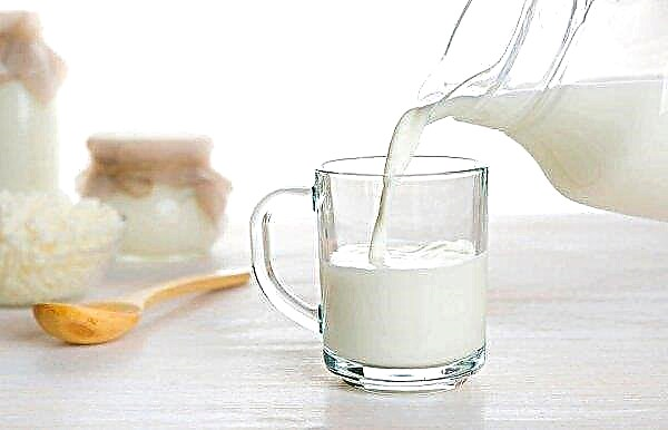 तातारस्तान की बुरोनकी "फैल" दूध की नदियाँ
