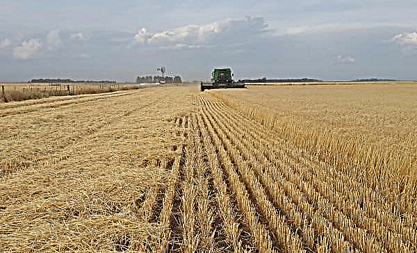 Agriculture Announces Covid-19 Sector Precautions