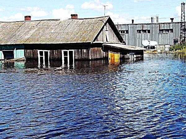 Powódź spowodowała szkody w rolnictwie na Zakarpaciu w wysokości 50 milionów hrywien