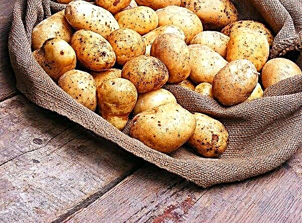 Weitere Kartoffelbänke werden auf Küstenfeldern erscheinen
