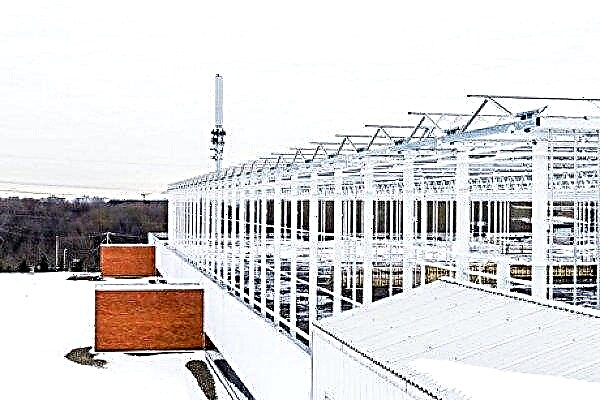モントリオールは世界最大の屋上温室の家になります