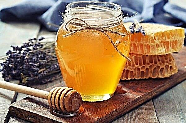 Desde principios de año, la exportación de miel de Ucrania ha aumentado en un 44 por ciento.