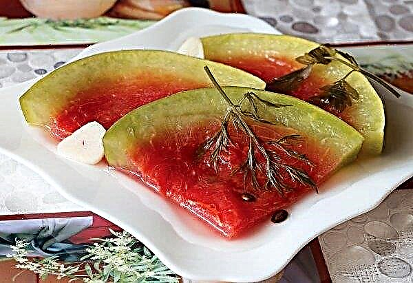 Eingelegte Wassermelonen im Fass: die leckersten Rezepte, die mit Fotos gekocht werden