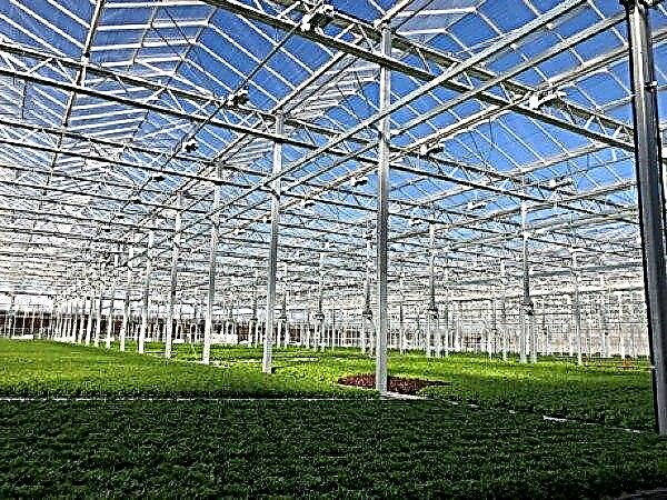 New large greenhouse opens in Chicago