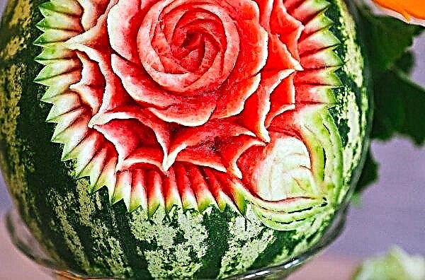 1022 Kilogramm Melonen und Wassermelonen mit Nitraten durften in Schitomir nicht verkauft werden
