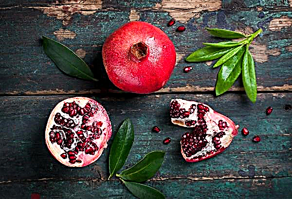 Spanish Pomegranate Nursery doubles seedling production