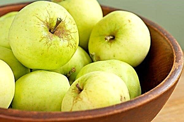 Apple tree Antonovka: description and characteristics of the variety, especially planting and care, photos