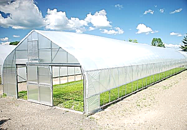 Photovoltaic greenhouses are tested in France