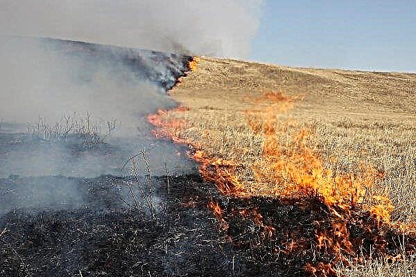 Pada 2019, ekosistem wilayah Kherson menderita 142 kali kebakaran