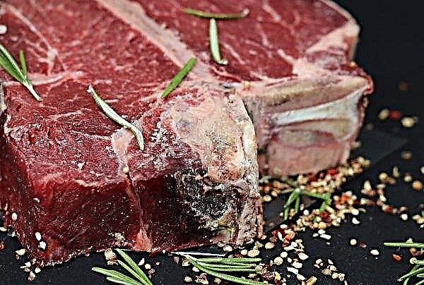 Belarus will continue to export beef to Russia