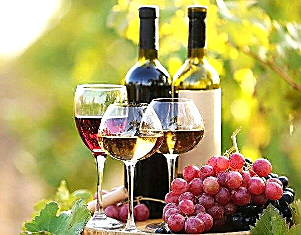Vinul rusesc de pe rafturile Krasnodar va fi semnificativ mai ieftin