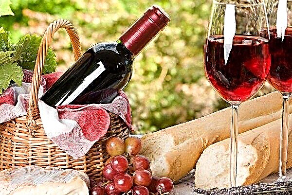 Russian restaurants will focus on the products of domestic winemakers