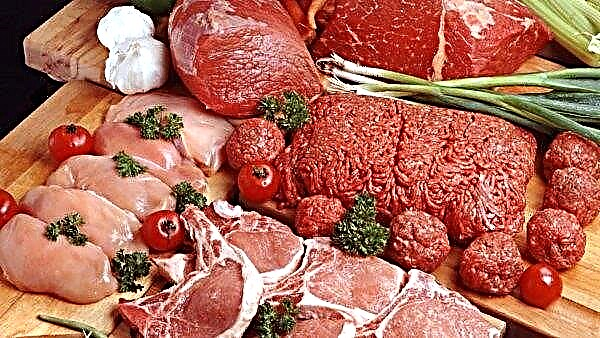 Seit Jahresbeginn sind in der Ukraine Hühnchen und Schweinefleisch im Preis gefallen