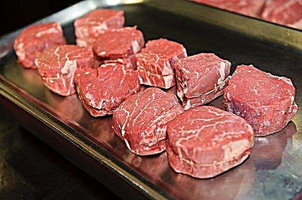 Russos poderão evitar comprar carne recheada com antibióticos