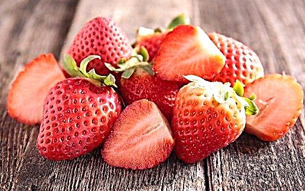 In the Russian market - more and more Belarusian strawberries