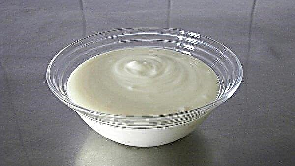 Vinnitsa reģionā sāka ražot neparastas sāļās jogurta mērces
