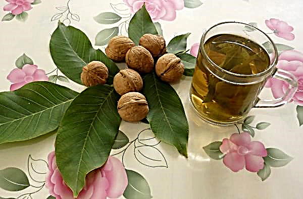 Walnut: benefits and harms for women, use in folk medicine, how to use