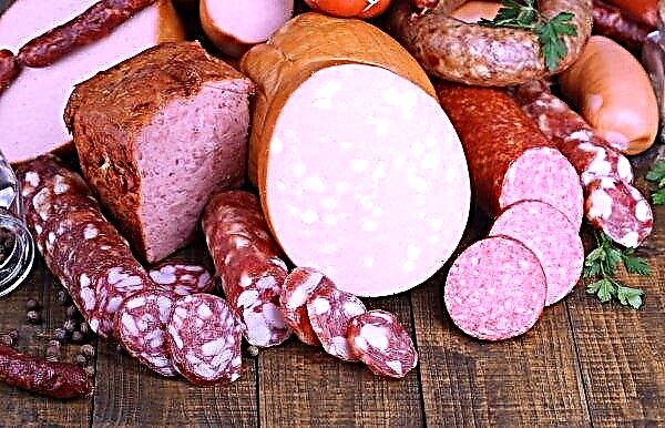 Sausage in Ukraine rose by 16 percent per year
