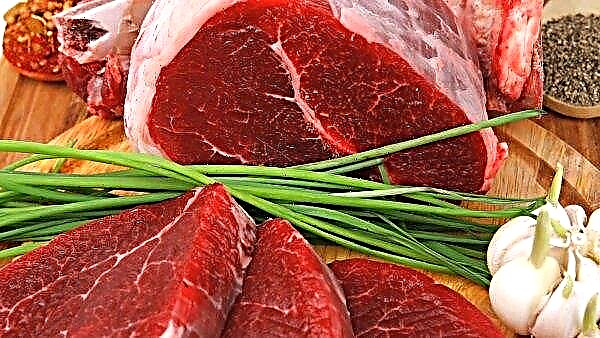 Storbritanniens detaljhandelsjätte stöder irländskt nötkött