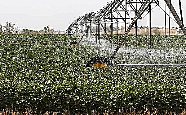 As águas subterrâneas na Moldávia não são adequadas para a irrigação de terras agrícolas