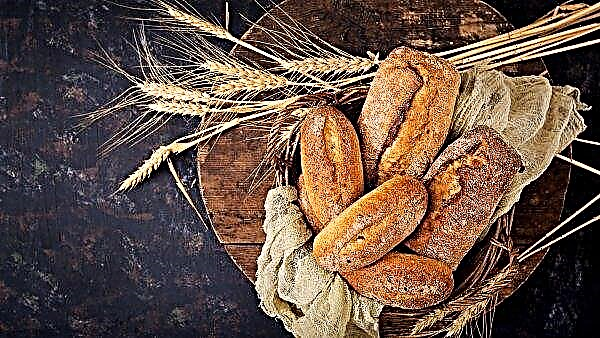 El propietario de la "hectárea del Lejano Oriente" lanzó la producción de pan único