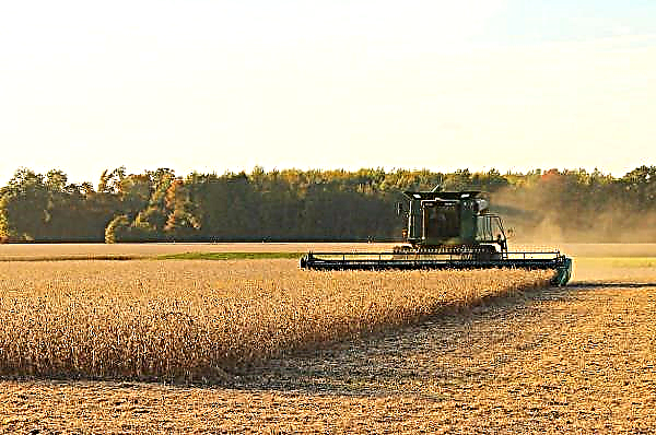 Comércio agrícola mantém espaços abertos