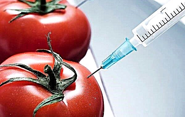 איטליה וגרמניה רצו להאכיל פרות רוסיות במוצרי GMO מזיקים