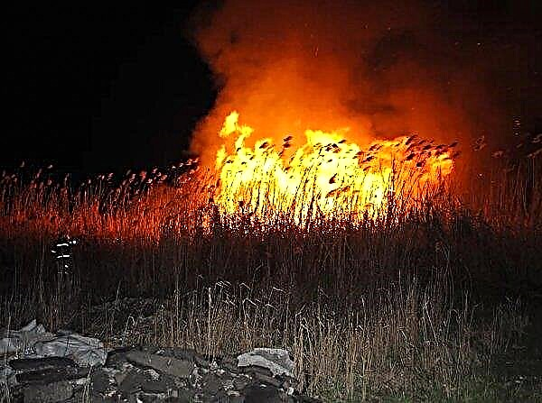 An elderly couple from the Zhytomyr region died due to burning dead wood