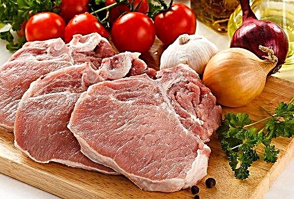 EU pork prices rise