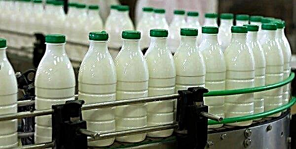 COCA COLA planea abrir una lechería en Irlanda
