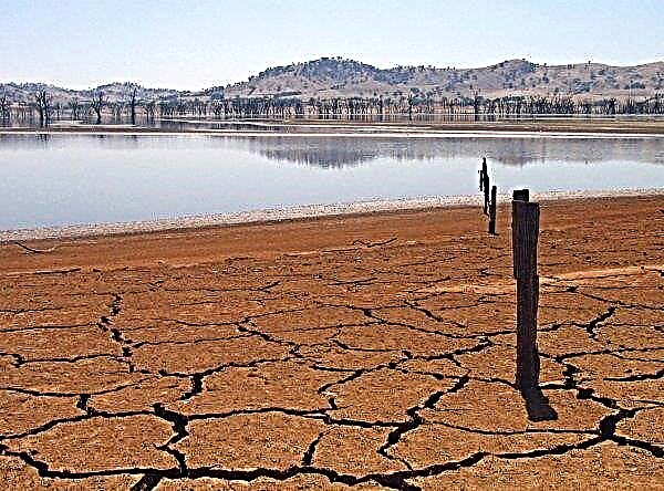 La sequía en Sudáfrica devora ganado y cultivos